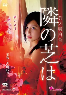 阿姨言情小说 年代里的女人们 封面